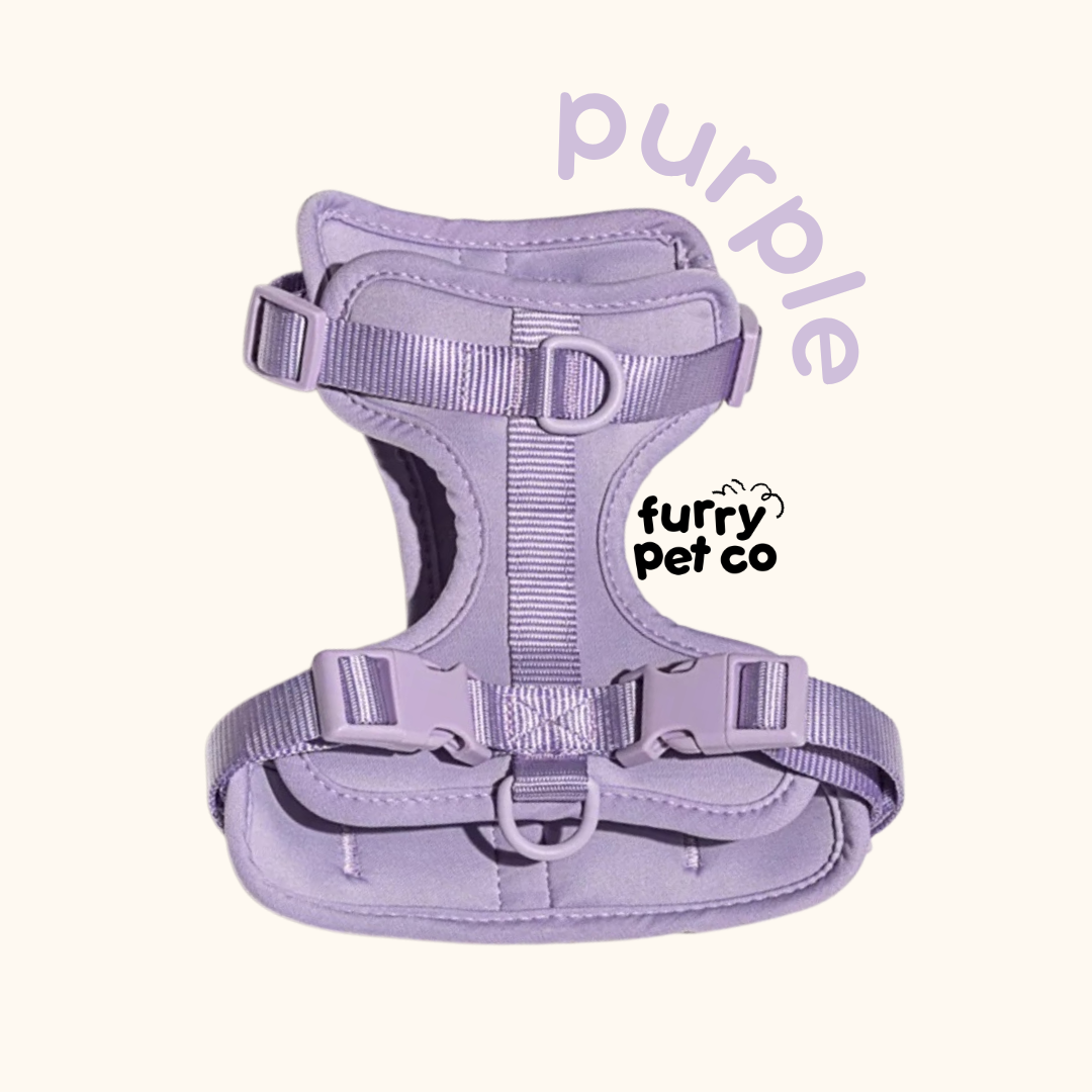 Furry Pet Co Breathable No Pull Pet Harness