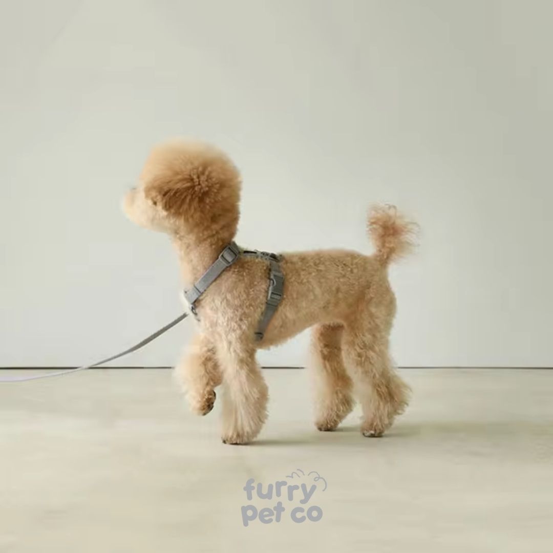 Furry Pet Co Woven Harness & Handsfree Leash Set