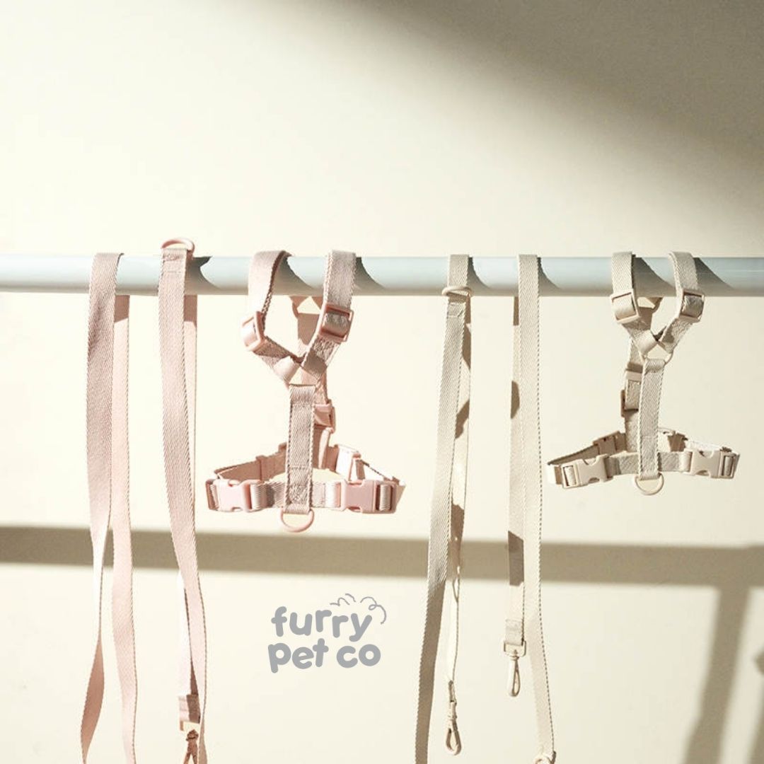 Furry Pet Co Woven Harness & Handsfree Leash Set