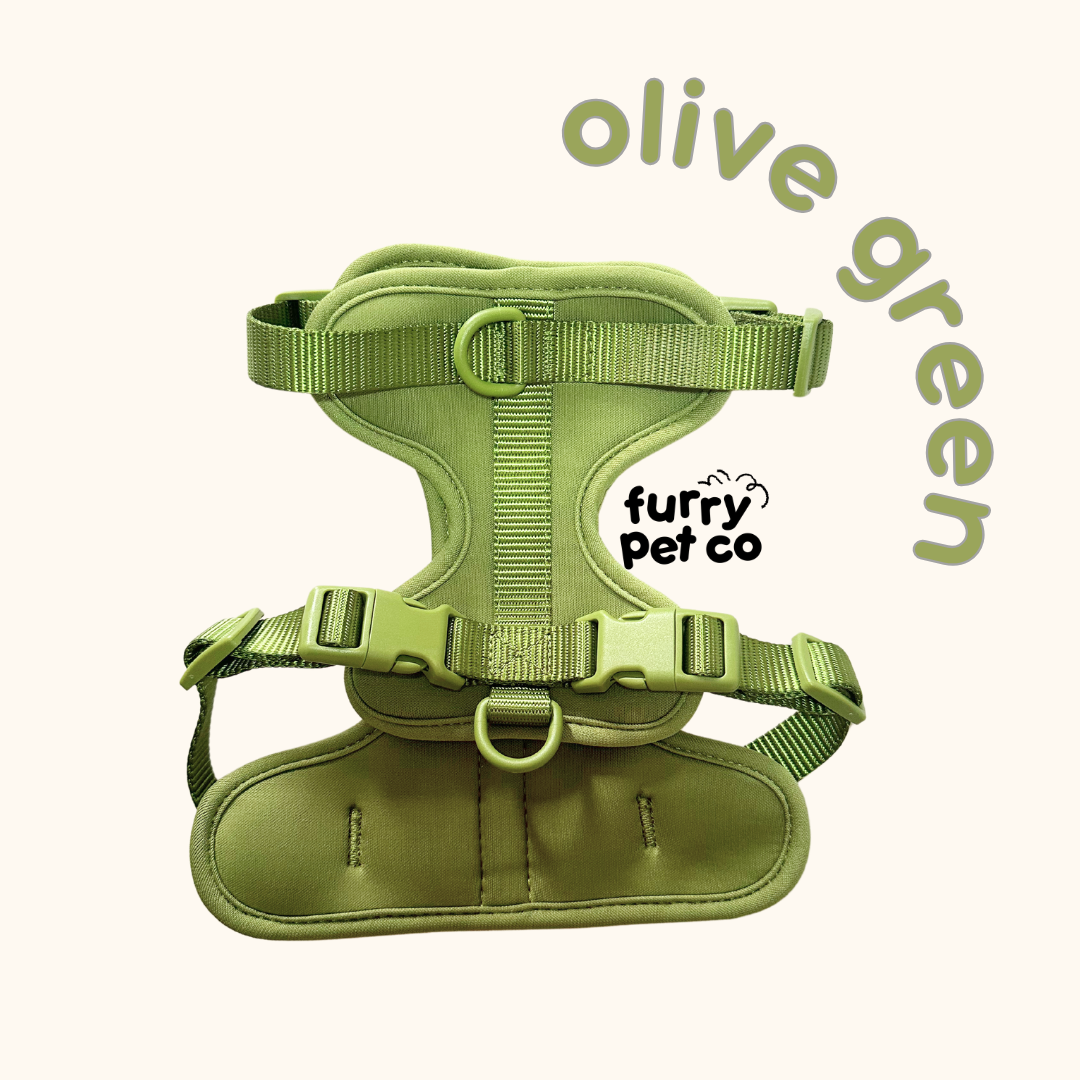 Furry Pet Co Breathable No Pull Pet Harness