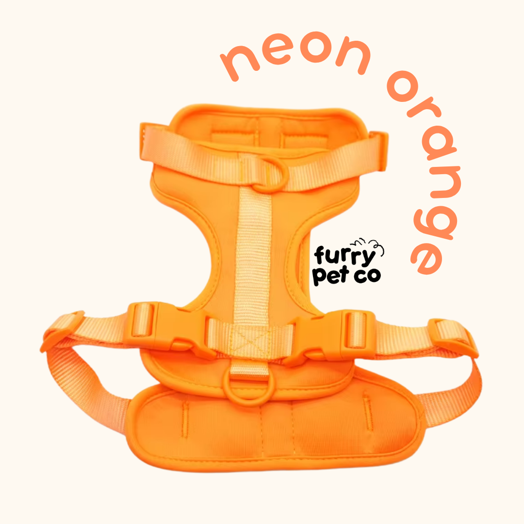 Furry Pet Co Breathable No Pull Pet Harness