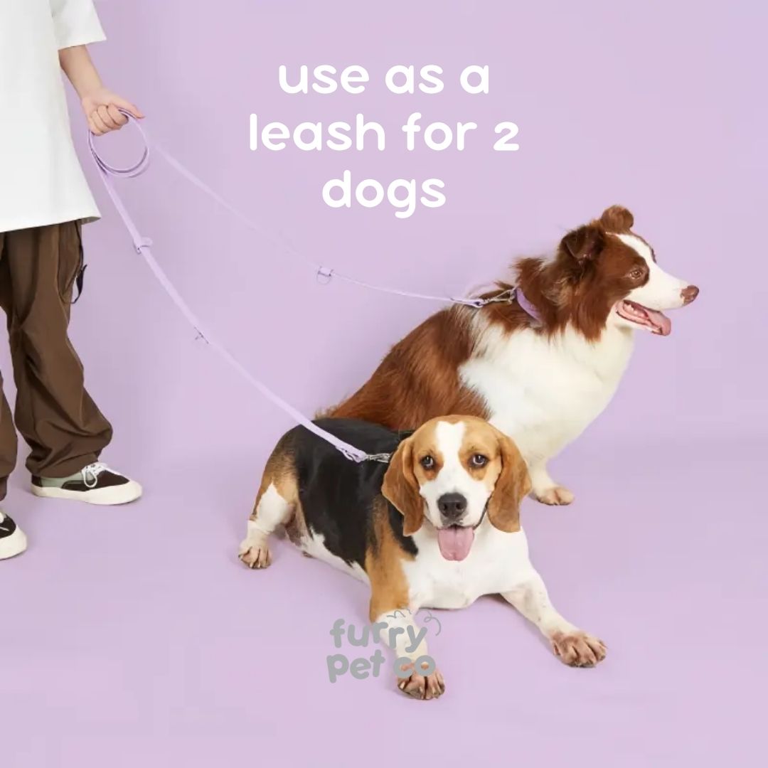 Furry Pet Co Double Hook Multi-Use Waterproof Leash