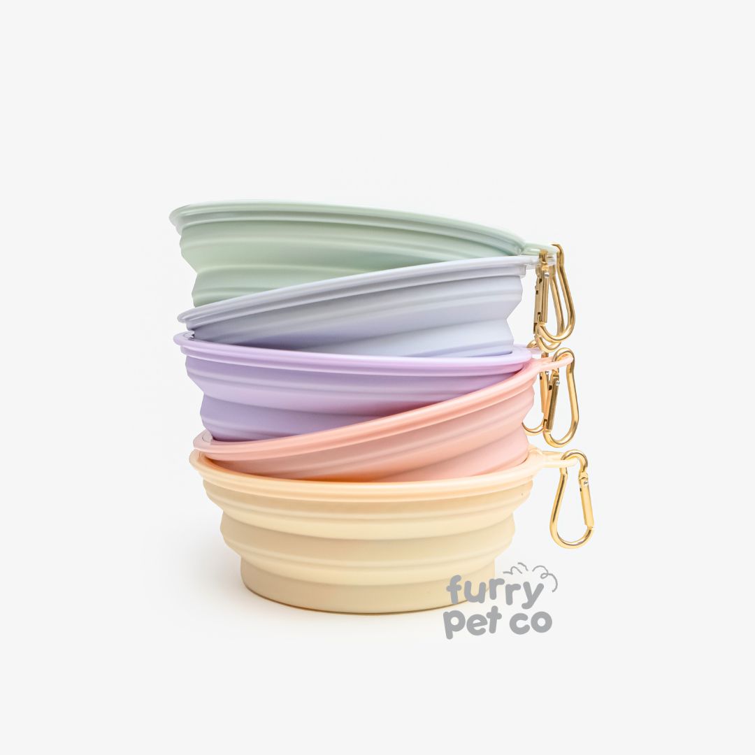 Furry Pet Co Double Collapsible Bowl
