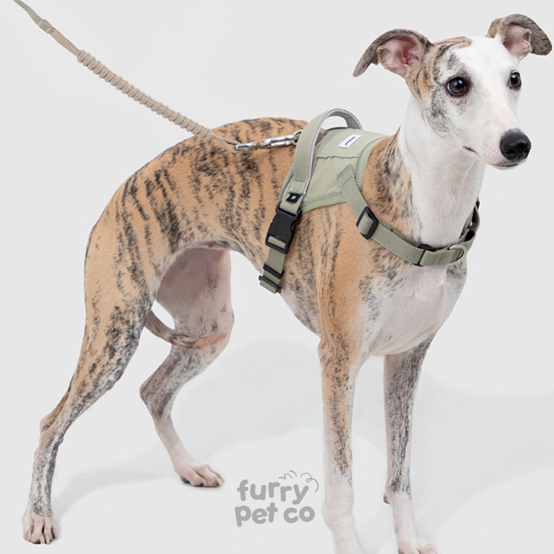 HiDREAM Quick Wear Water Resistant Harness with Air Tag Pocket (up to 30kg)