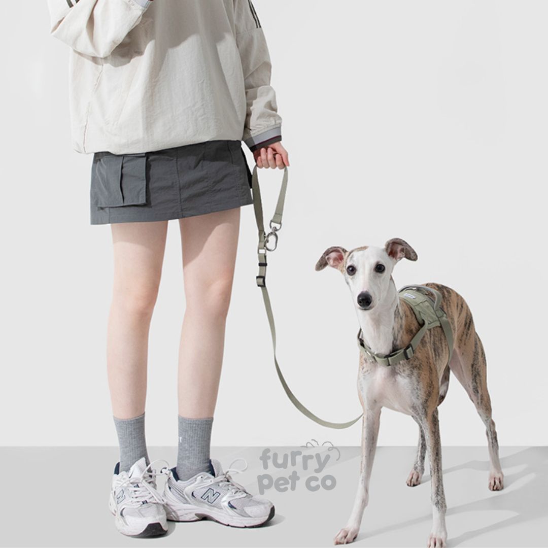 HiDREAM Quick Wear Water Resistant Harness with Air Tag Pocket (up to 30kg)