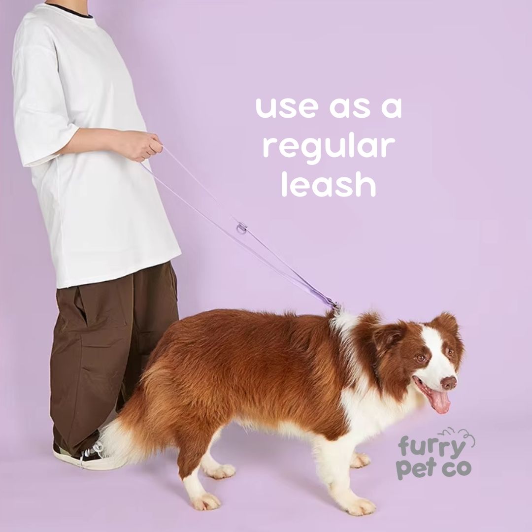Furry Pet Co Double Hook Multi-Use Waterproof Leash