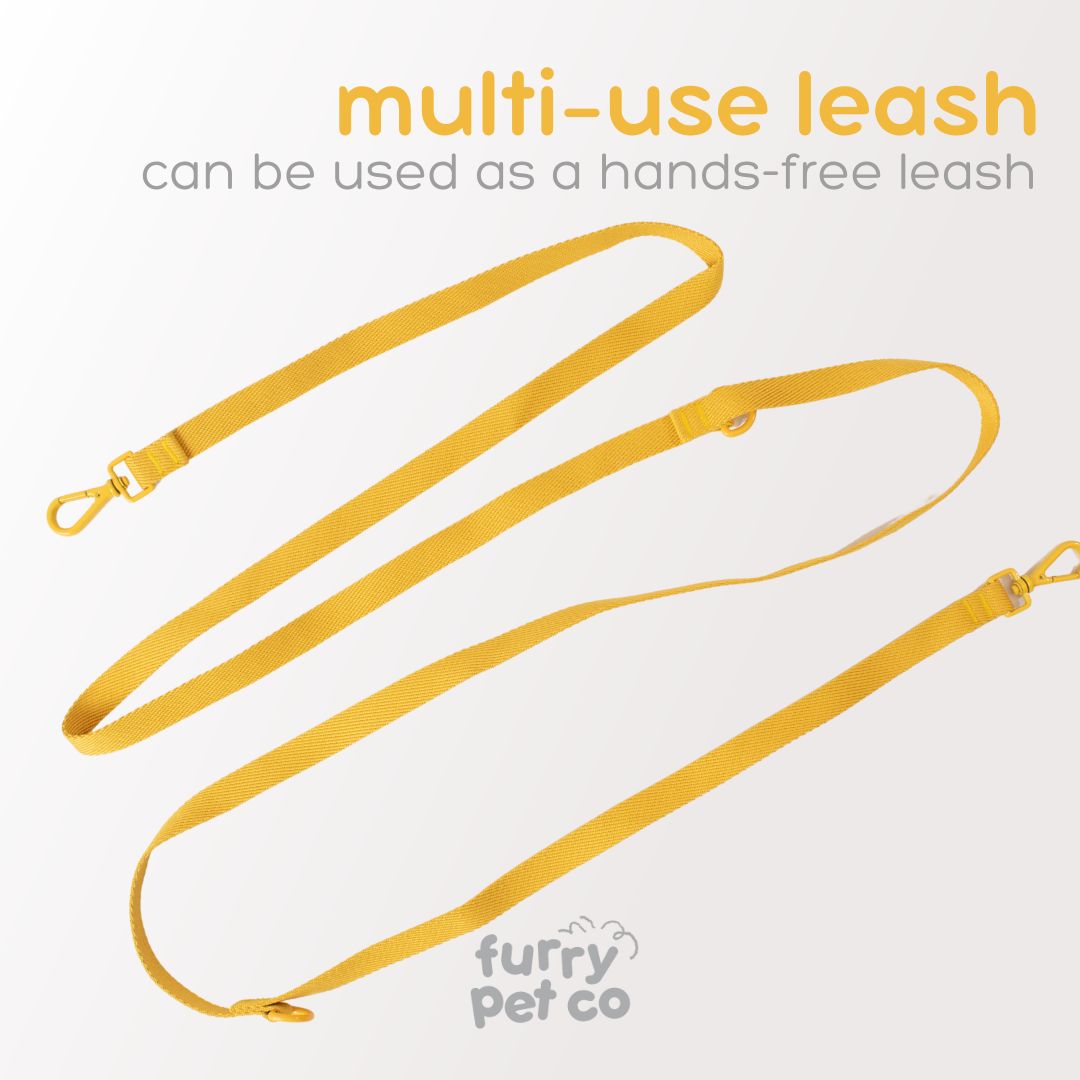 Furry Pet Co Woven Harness & Handsfree Leash Set