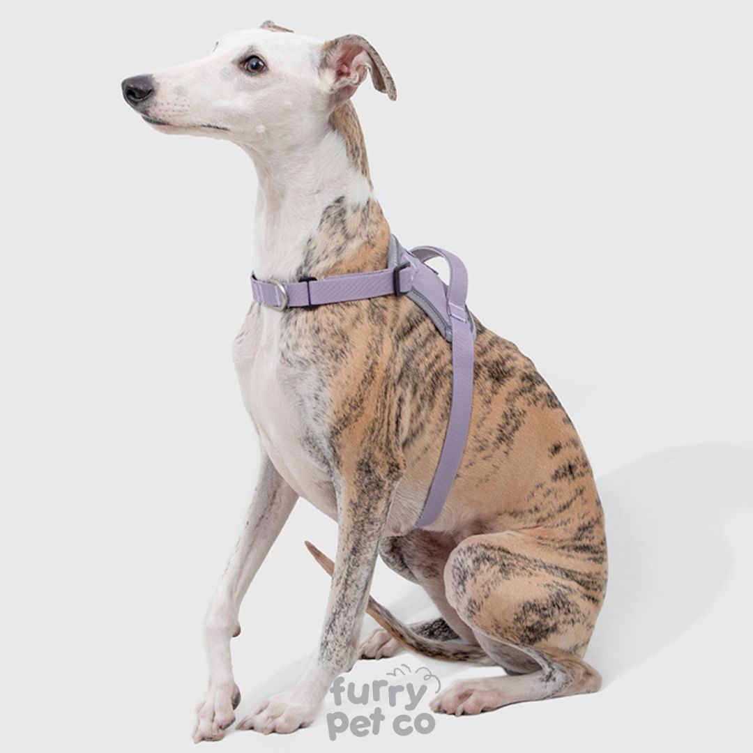 HiDREAM Quick Wear Water Resistant Harness with Air Tag Pocket (up to 30kg)
