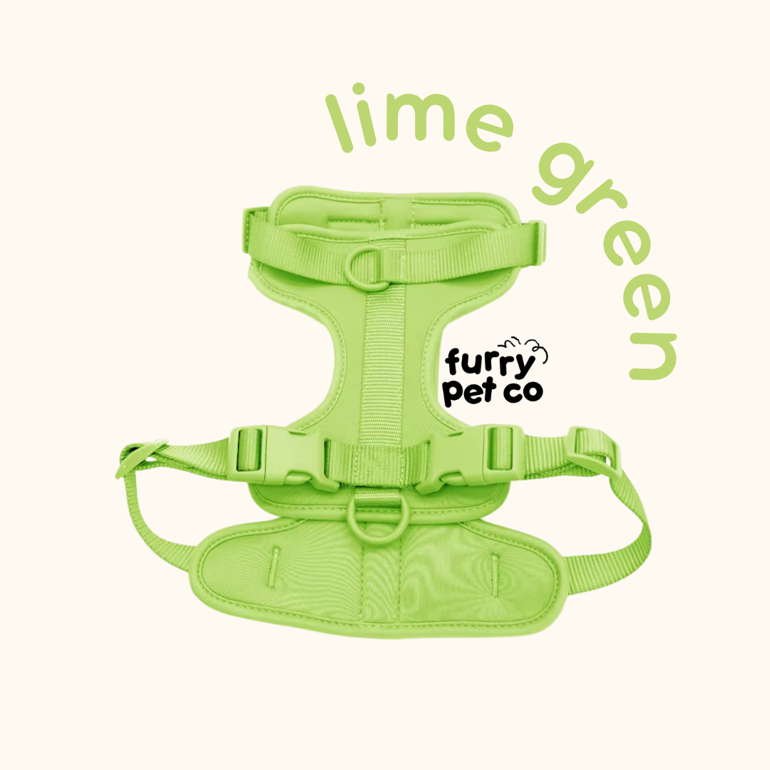 Furry Pet Co Breathable No Pull Pet Harness