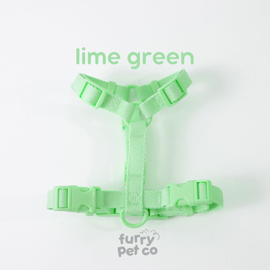 Furry Pet Co Woven Harness & Handsfree Leash Set