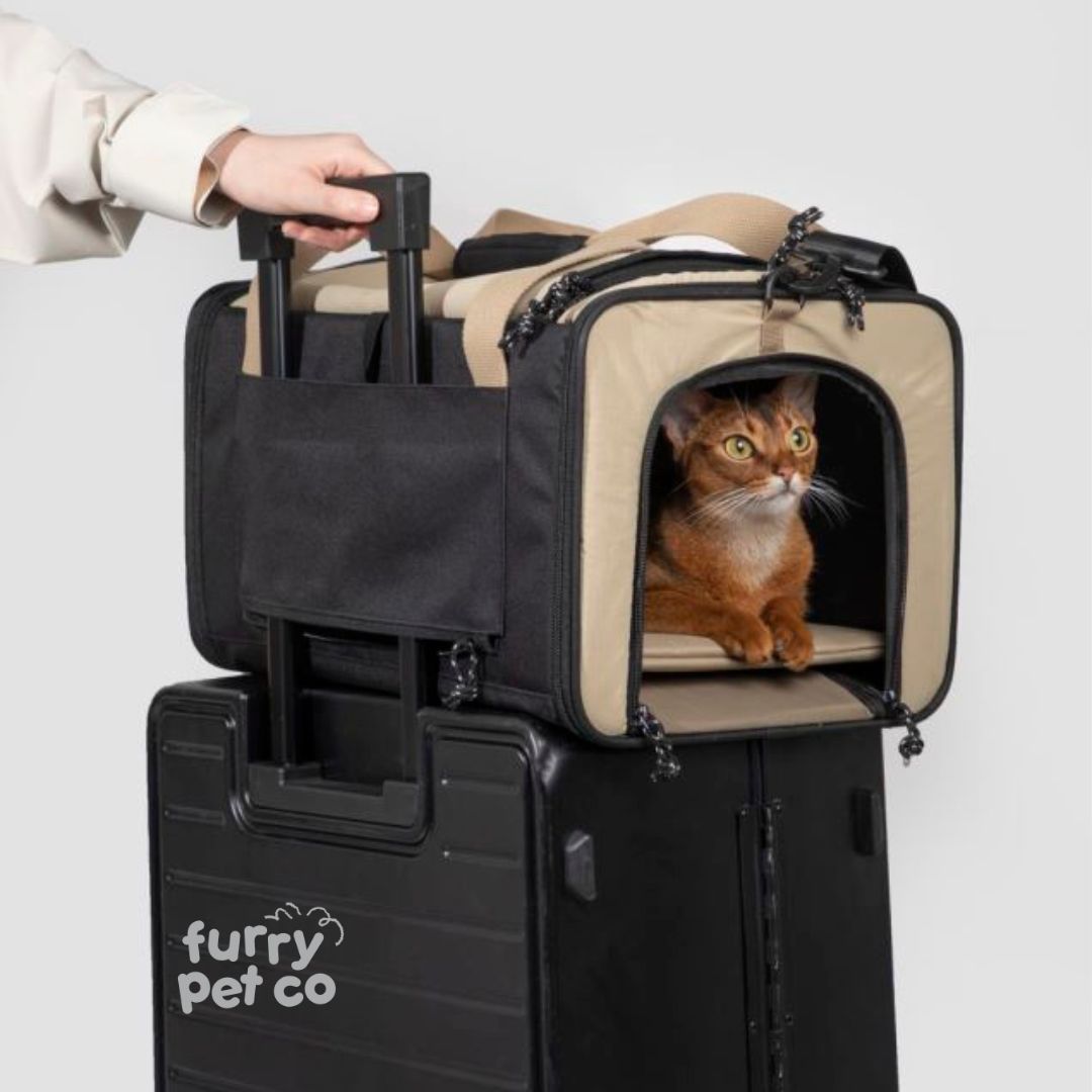 HiDREAM Airline Approved Breathable Travel Pet Carrier Bag with Adjustable Strap (up to 7kg)