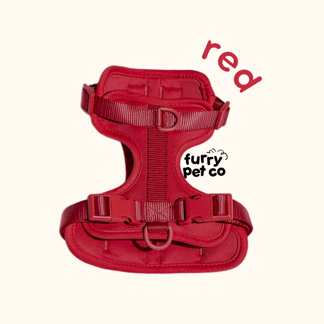 Furry Pet Co Breathable No Pull Pet Harness
