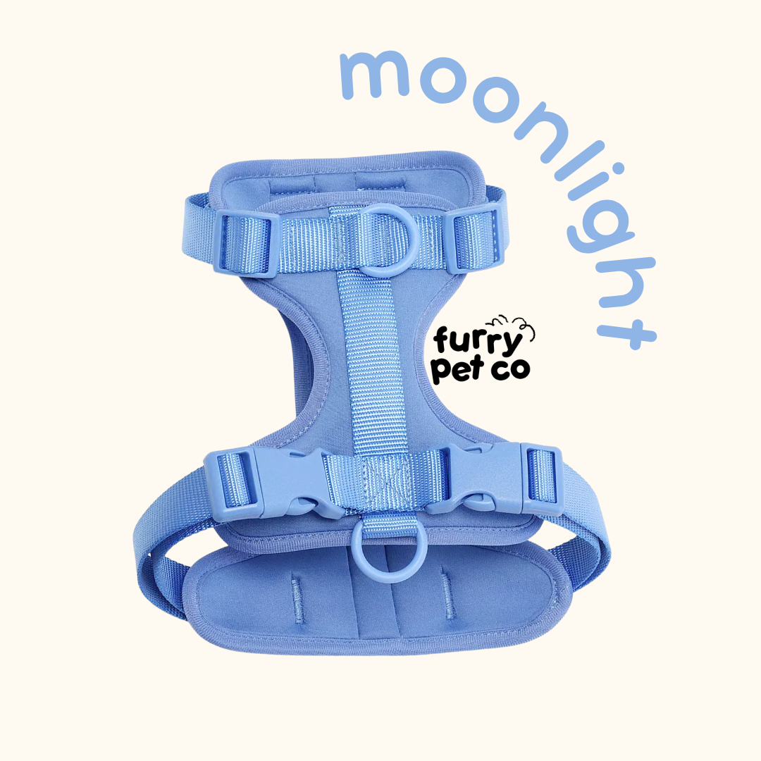 Furry Pet Co Breathable No Pull Pet Harness
