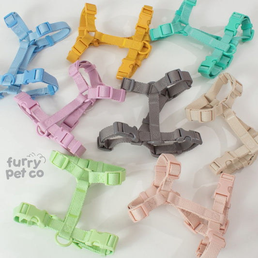 Furry Pet Co Woven Harness & Handsfree Leash Set