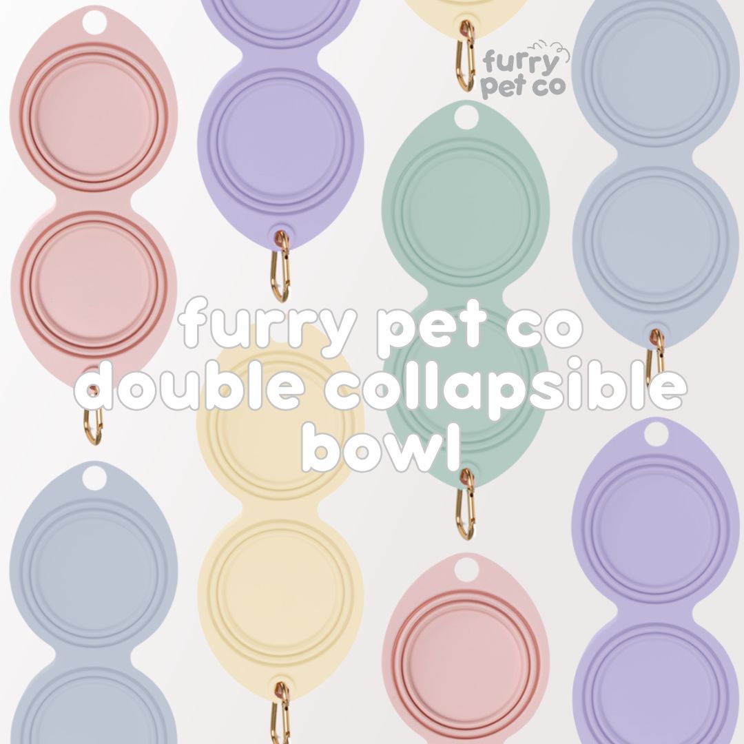 Furry Pet Co Double Collapsible Bowl