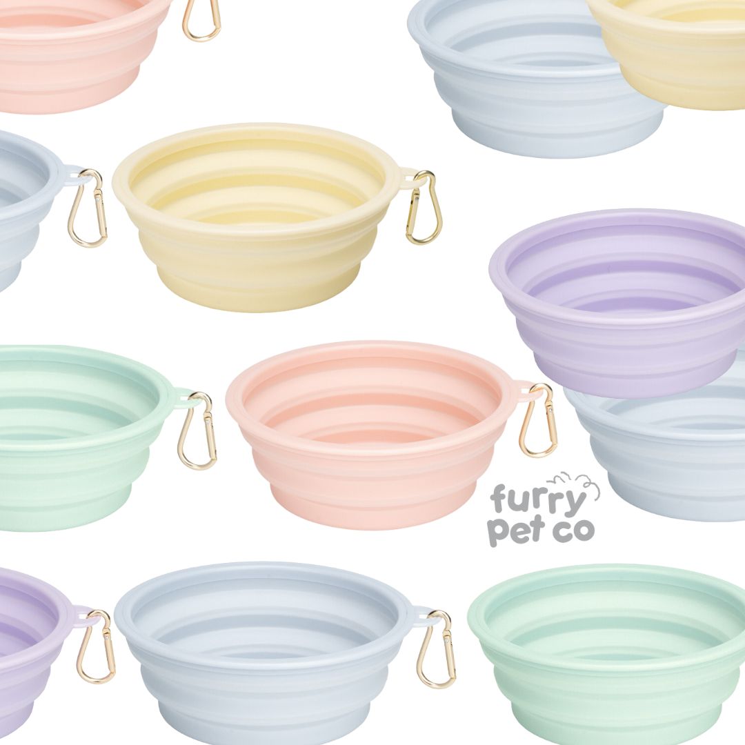 Furry Pet Co 350ml and 650ml Collapsible Bowl