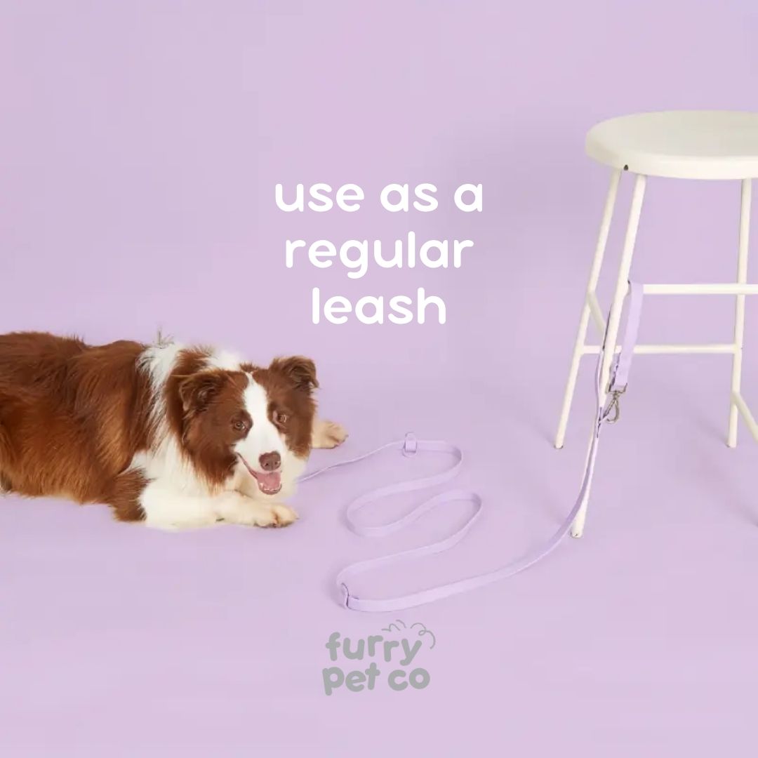 Furry Pet Co Double Hook Multi-Use Waterproof Leash