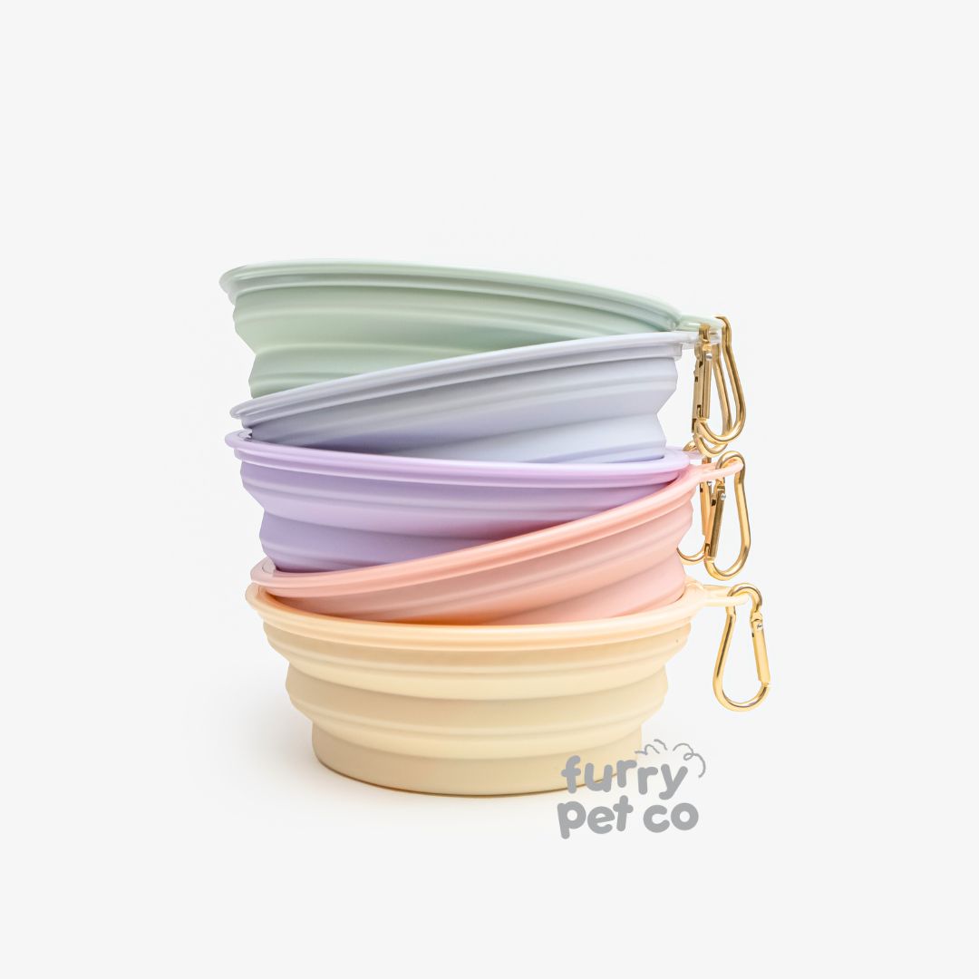 Furry Pet Co 350ml and 650ml Collapsible Bowl