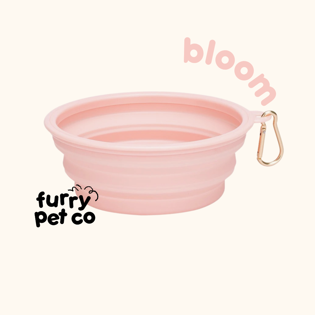 Furry Pet Co 350ml and 650ml Collapsible Bowl