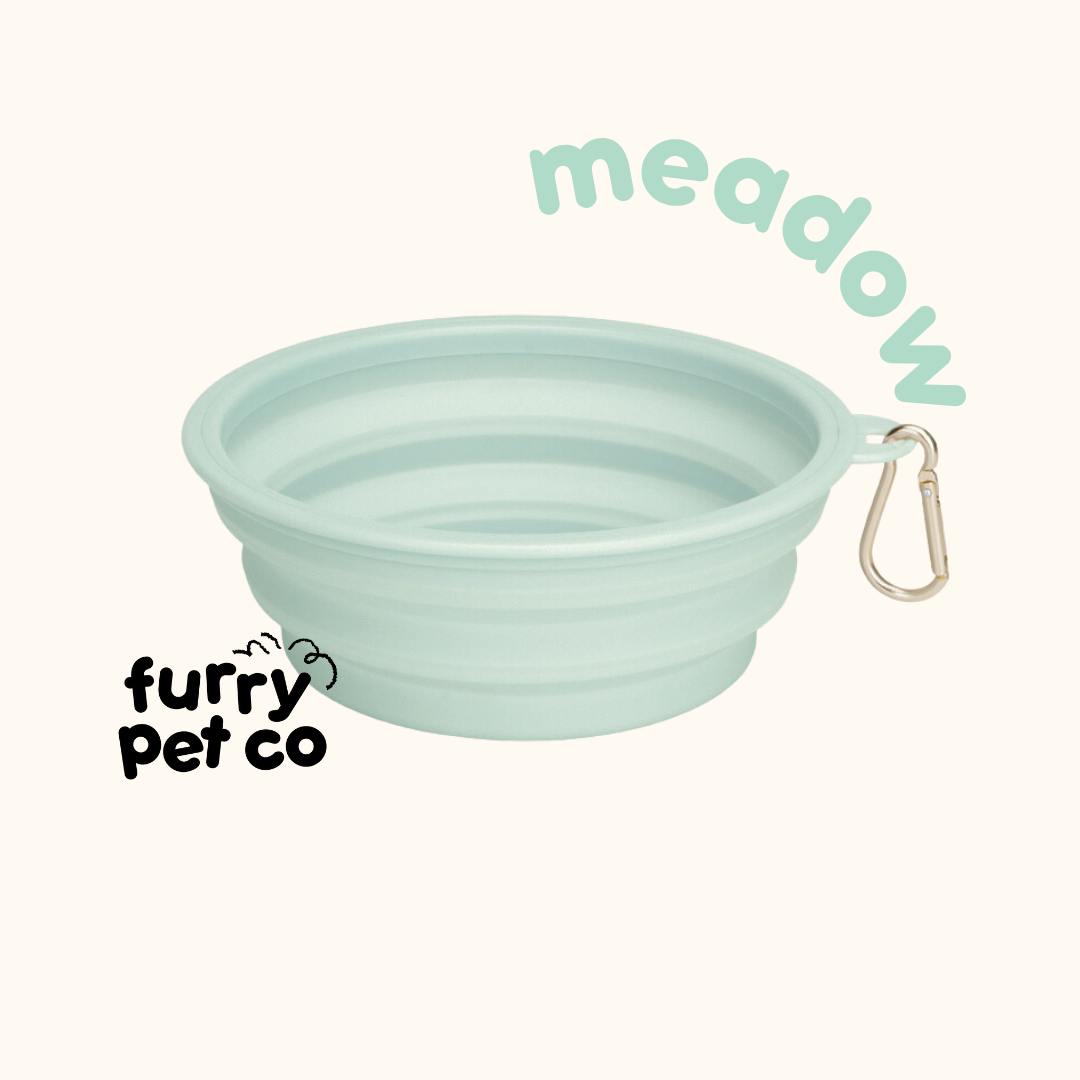 Furry Pet Co 350ml and 650ml Collapsible Bowl