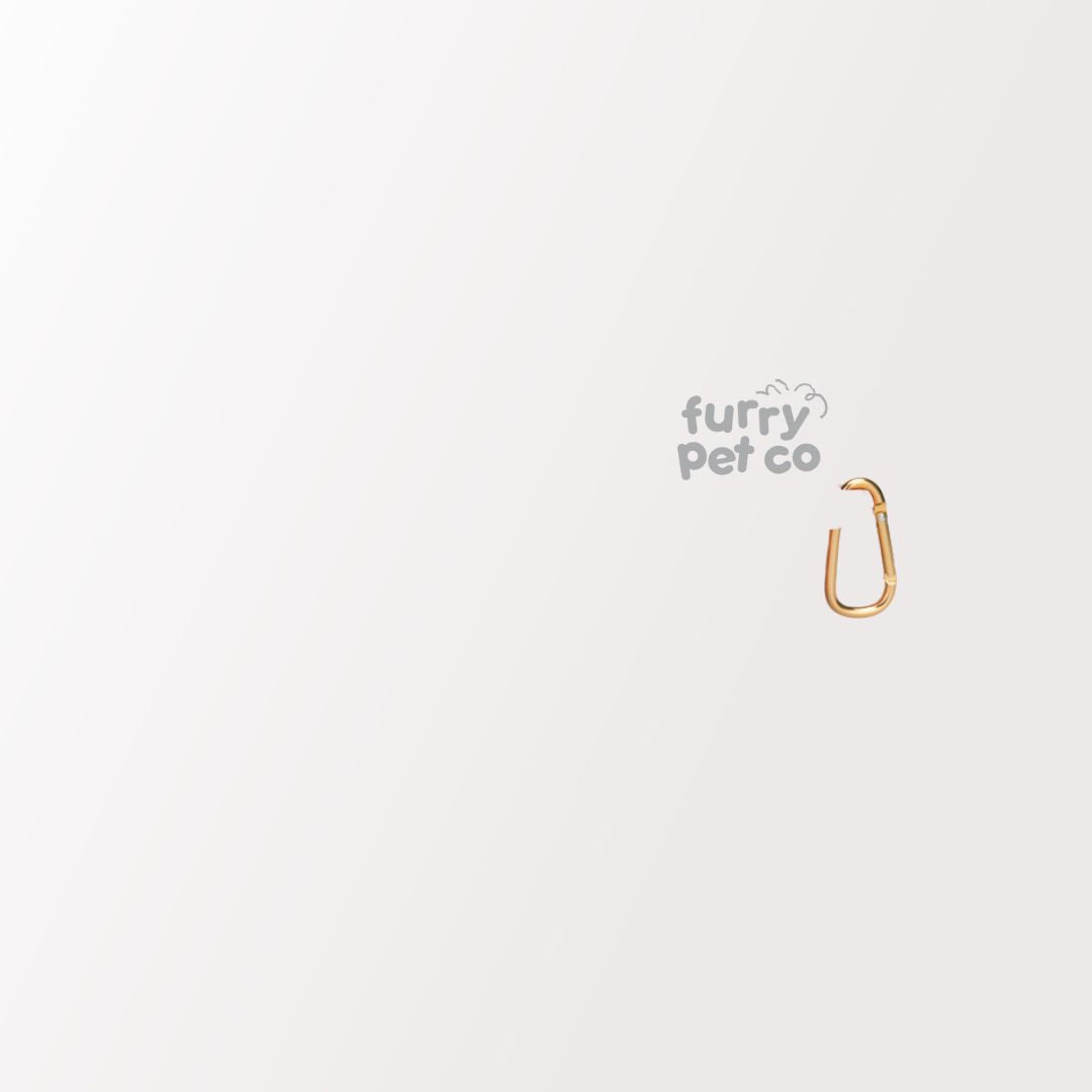 Furry Pet Co Double Collapsible Bowl