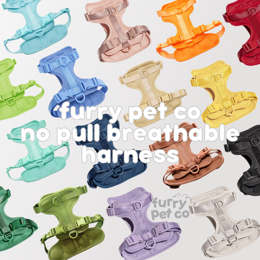 Furry Pet Co Breathable No Pull Pet Harness