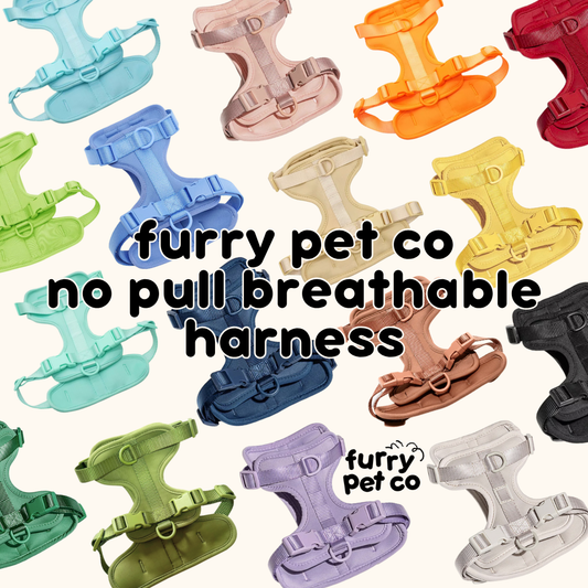 Furry Pet Co Breathable No Pull Pet Harness