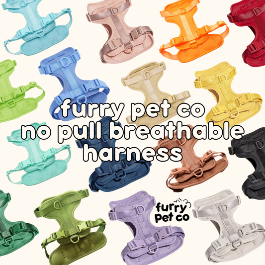Furry Pet Co Breathable No Pull Pet Harness